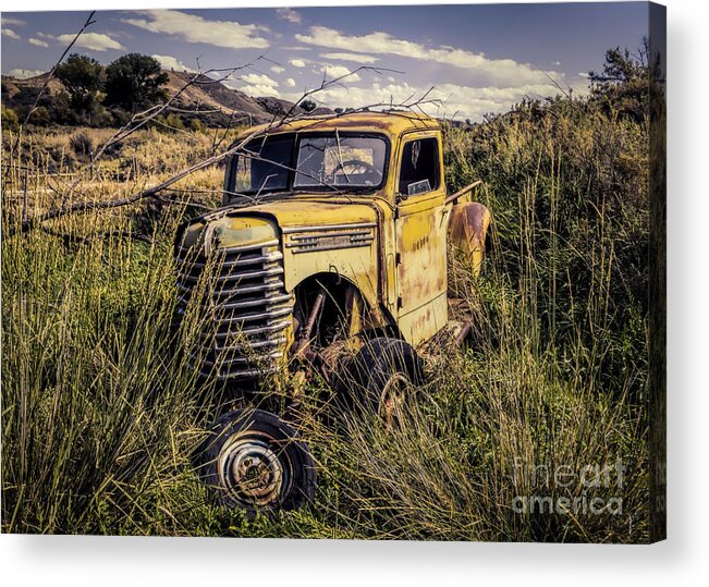 Colorado Acrylic Print featuring the photograph Fenders In The Rear by Janice Pariza