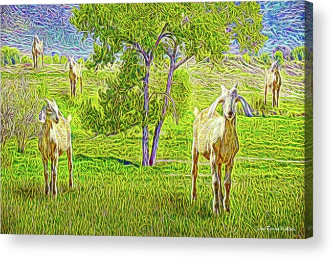 Joelbrucewallach Acrylic Print featuring the digital art Field Of Baby Goat Dreams by Joel Bruce Wallach