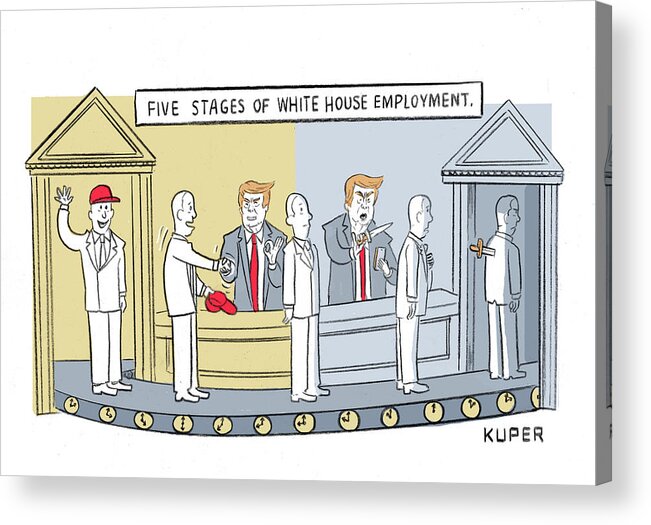 Five Stages Of White House Employment Acrylic Print featuring the drawing Five Stages of White House Employment by Peter Kuper