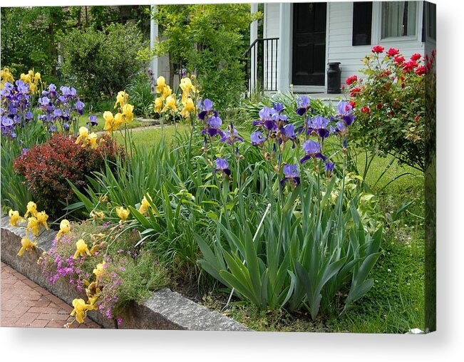 Iris Flowers Acrylic Print featuring the photograph Flowers 716 by Joyce StJames