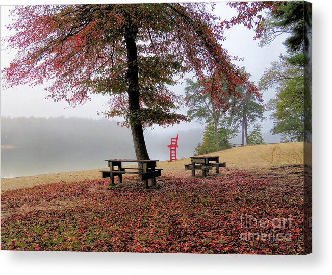 Tupelo Tree Acrylic Print featuring the photograph Foggy Morning at Morton Park by Janice Drew
