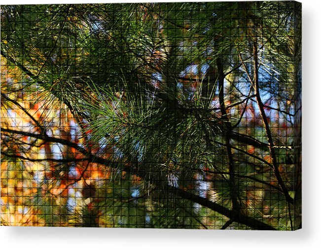 Autumn Colors Acrylic Print featuring the photograph Foliage Tilework by Margie Avellino