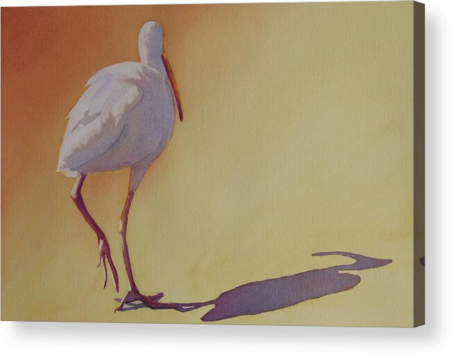 Ibis Acrylic Print featuring the painting Follow the Leader by Judy Mercer