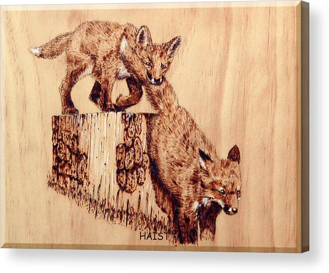 Fox Acrylic Print featuring the pyrography Follow The Leader by Ron Haist