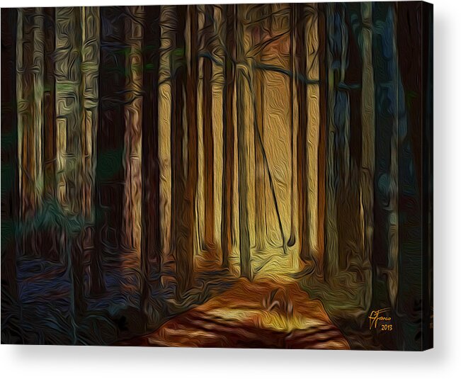 Artwork For Sale Acrylic Print featuring the digital art Forrest sun by Vincent Franco