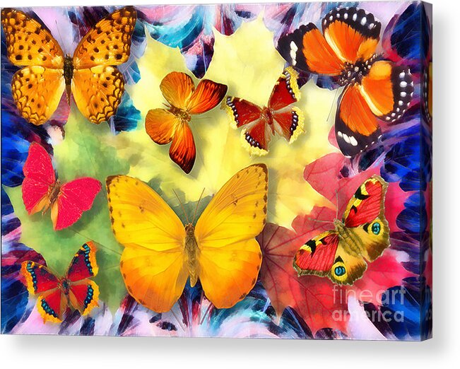 Butterflies Acrylic Print featuring the photograph Fritillary by Jack Torcello