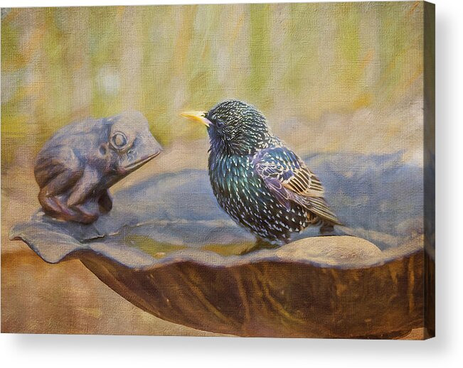 Starling Acrylic Print featuring the photograph Frog and Bird by Cathy Kovarik
