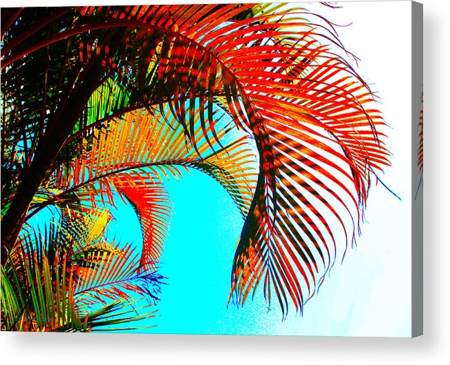 Palm Acrylic Print featuring the photograph Fronds by Susan Vineyard