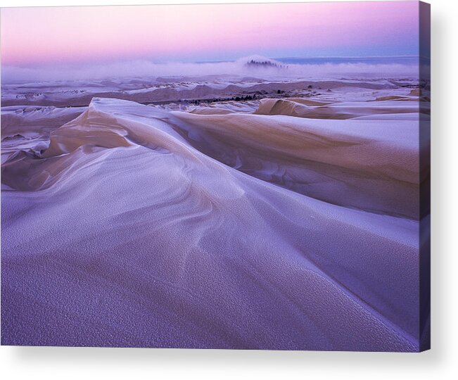 Coast Acrylic Print featuring the photograph Frost on the Dunes by Robert Potts
