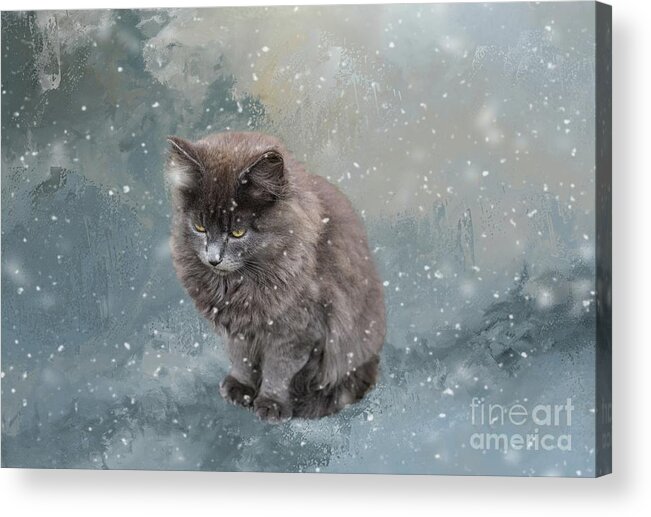 Cold Acrylic Print featuring the photograph Frozen by Eva Lechner