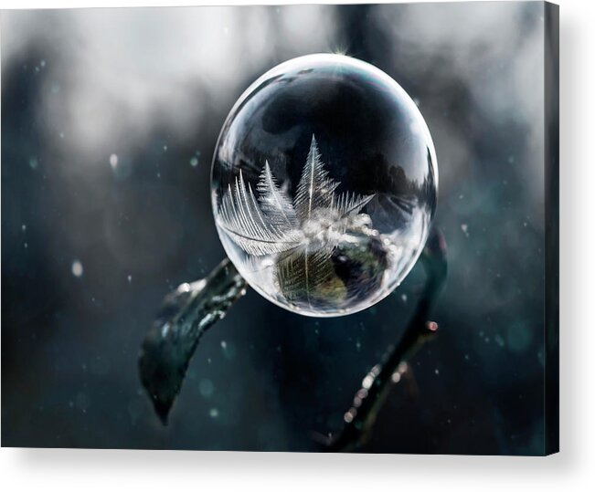 Ball Acrylic Print featuring the photograph Frozen world by Jaroslaw Blaminsky