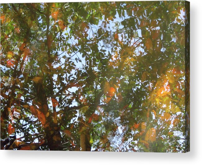 Water Acrylic Print featuring the photograph Aqueous Reflections 4 by Laura Davis
