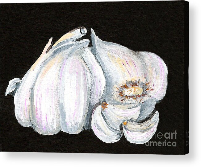 Garlic Acrylic Print featuring the painting Garlic 1 by Elaine Hodges