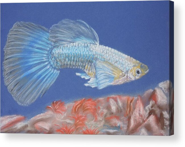 Guppy Gill Reef Sea Pastel Art Acrylic Print featuring the pastel Gill by Sandra Muirhead