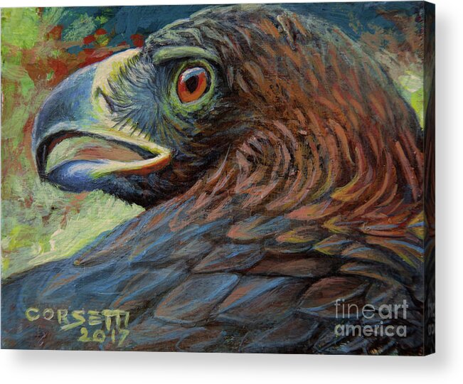 Feathers Acrylic Print featuring the painting Golden Eagle by Robert Corsetti
