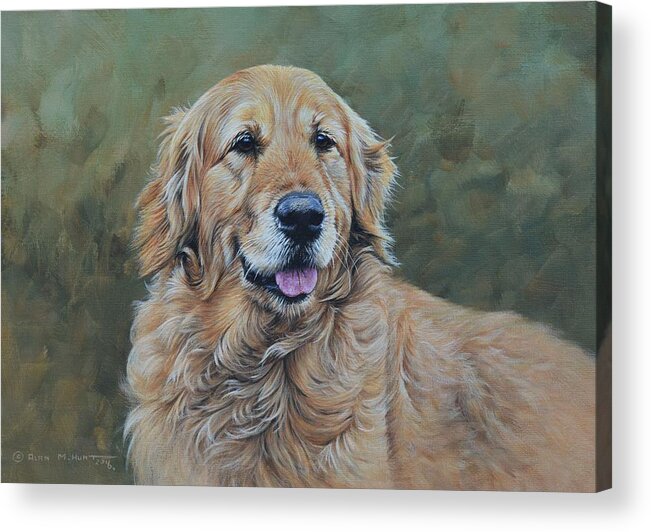 Dog Acrylic Print featuring the painting Golden Retriever Portrait by Alan M Hunt