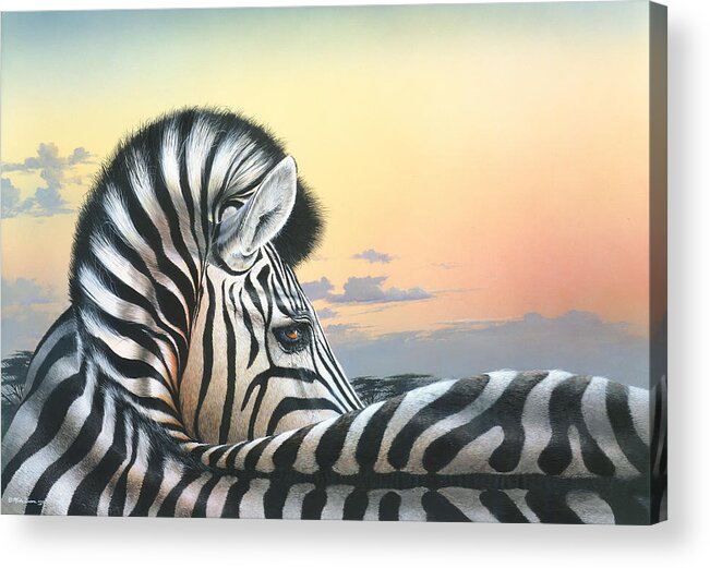 Zebra Paintings Acrylic Print featuring the painting Golden Sky by Mike Brown