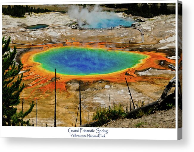 Grand Prismatic Spring Acrylic Print featuring the photograph Grand Prismatic Spring by Greg Norrell