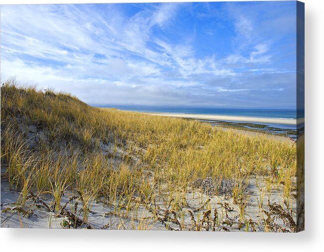 Dunes Acrylic Print featuring the photograph Grassy Sand Dunes Overlooking the Beach by Charles Harden