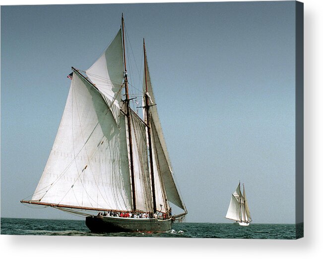 Windjammers Acrylic Print featuring the photograph Great Gloucester Schooner Race by Fred LeBlanc