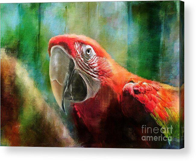 Macaw Acrylic Print featuring the digital art Green Winged Macaw by Lois Bryan