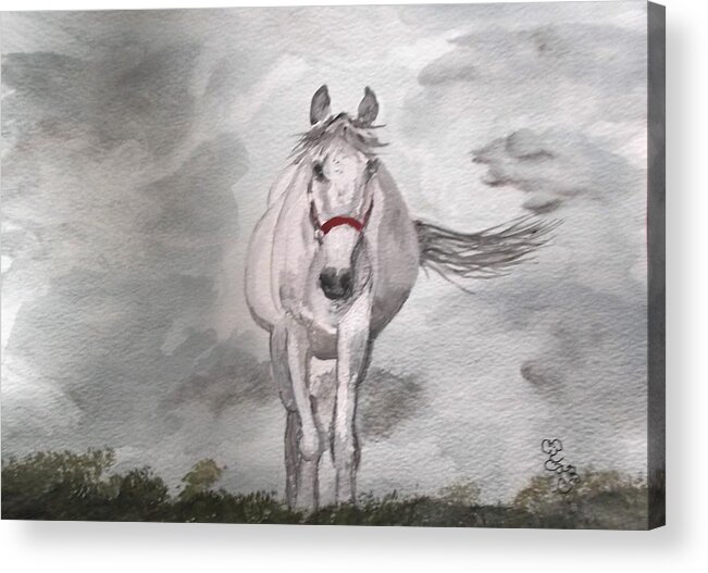 Horse Acrylic Print featuring the painting Grey on grey by Carole Robins