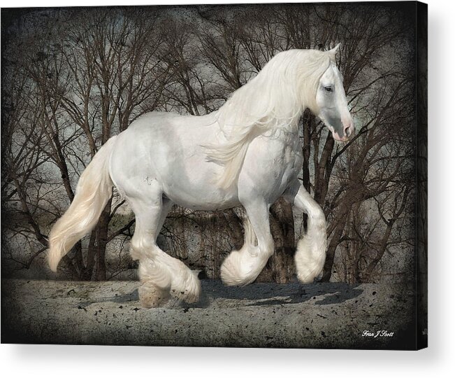 Gypsy Acrylic Print featuring the photograph Gypsy Forest by Fran J Scott