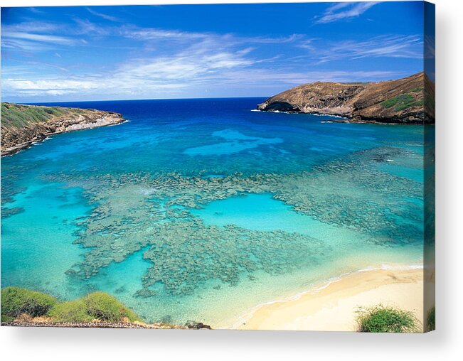 Above Acrylic Print featuring the photograph Hanauma Bay by Peter French - Printscapes