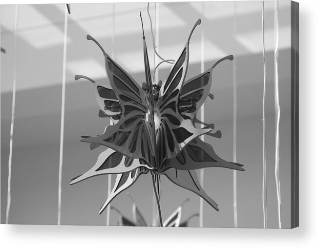 Black And White Acrylic Print featuring the photograph Hanging Butterfly by Rob Hans
