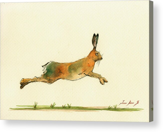 Hare Running Watercolor Painting Acrylic Print featuring the painting Hare running watercolor painting by Juan Bosco