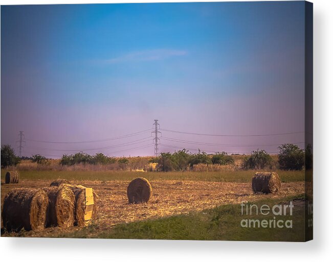 Farming Acrylic Print featuring the photograph Hay rolls by Claudia M Photography