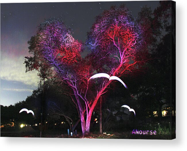 Lightpainting Acrylic Print featuring the photograph Heart Tree and Birds by Andrew Nourse