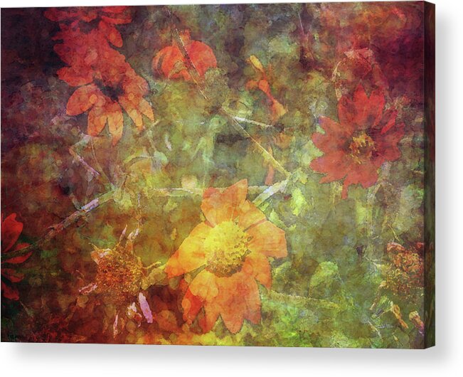Impression Acrylic Print featuring the photograph Heat 1922 IDP_2 by Steven Ward