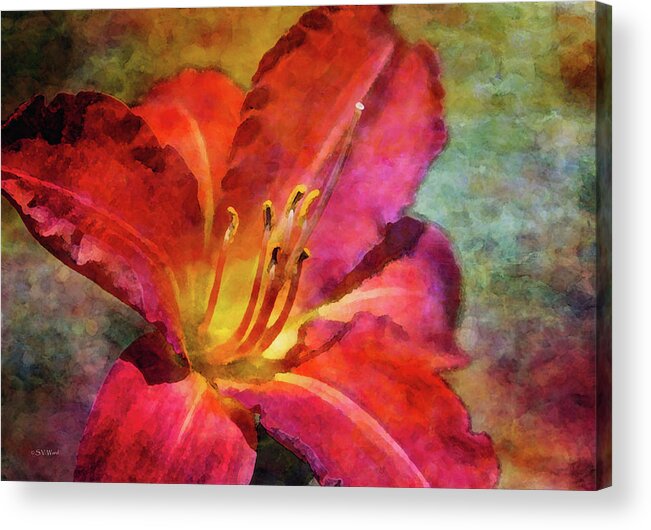 Daylily Acrylic Print featuring the photograph Heat in the Cold 0319 IDP_2 by Steven Ward