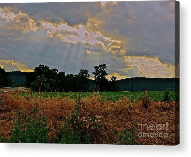  Acrylic Print featuring the photograph Heaven's Ever Loving Light by Tracy Rice Frame Of Mind