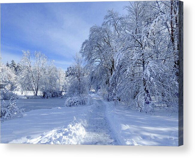 Winter Acrylic Print featuring the photograph Hello Winter by Lyuba Filatova