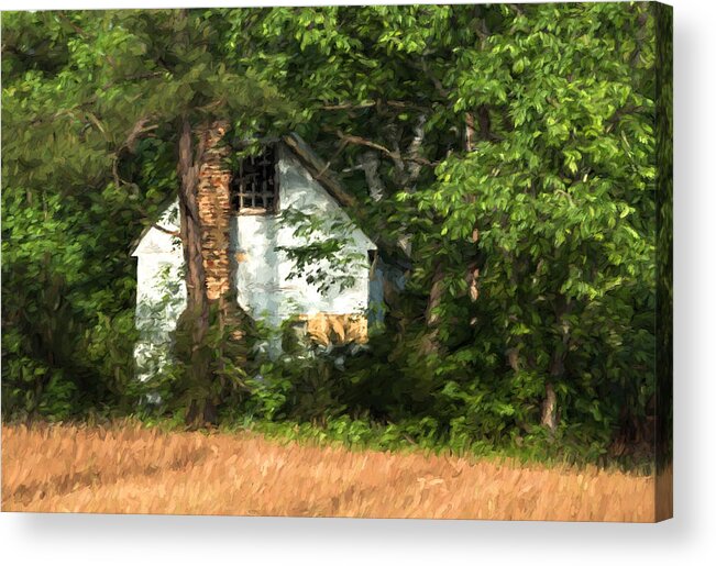 Pennsylvania Acrylic Print featuring the photograph Hide and Seek by Kathleen Scanlan