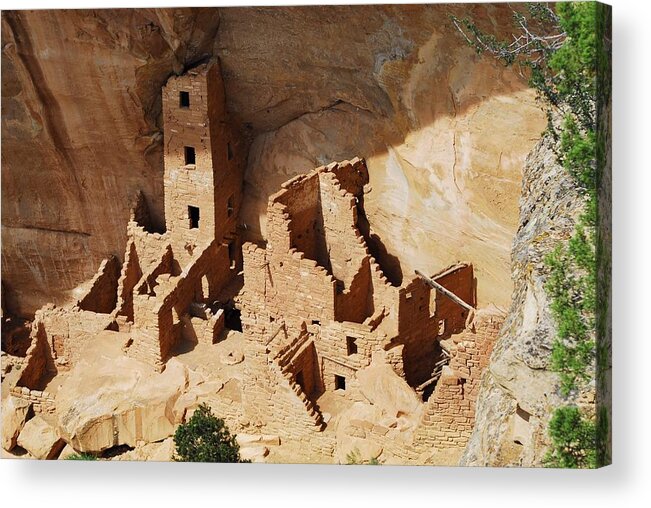 Cliff Dwellers Acrylic Print featuring the photograph High Rise Livin by Brad Hodges
