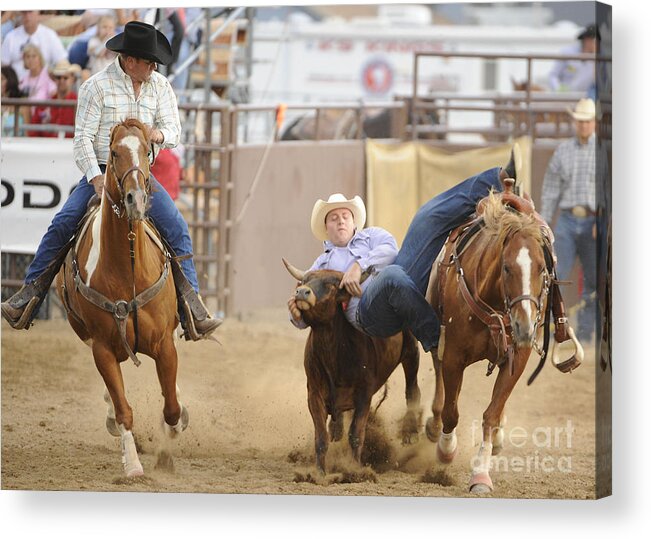 Horse Acrylic Print featuring the photograph Holding On by Dennis Hammer