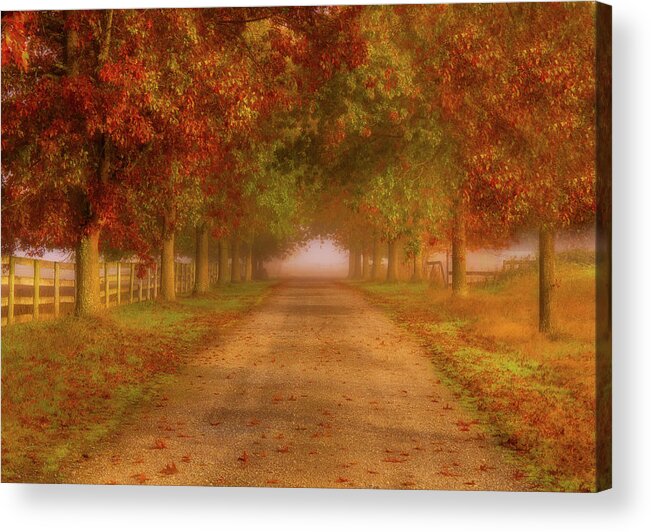 Fall Foliage Acrylic Print featuring the photograph Home Again by Judi Kubes