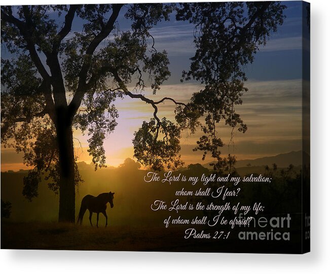 Horse Acrylic Print featuring the photograph Horse and Oak Tree Bible Verse Psalms 27 The Lord is My Light by Stephanie Laird