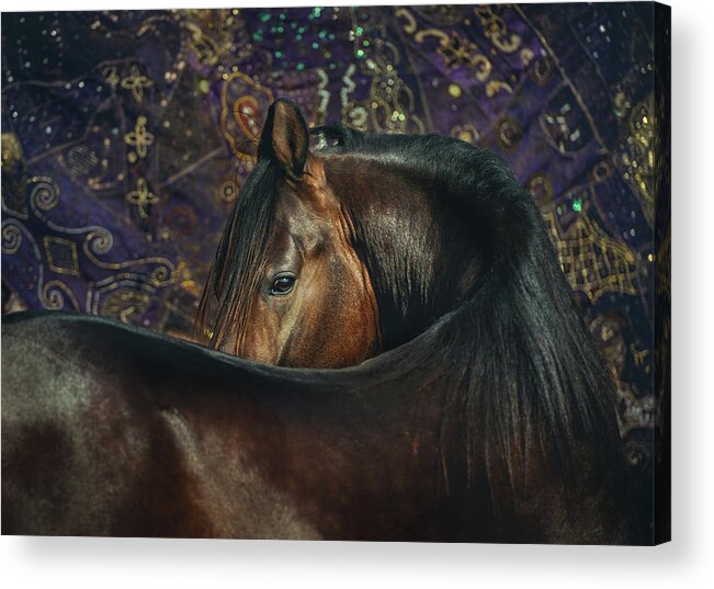 Russian Artists New Wave Acrylic Print featuring the photograph Horse Portrait with Carpet by Ekaterina Druz
