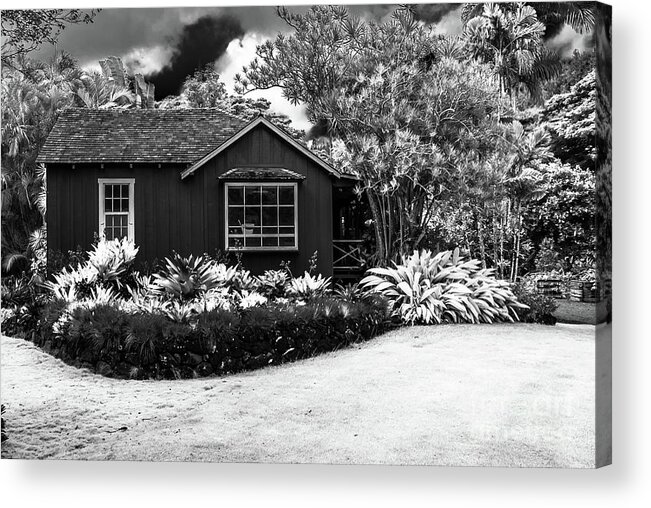 Kauai Acrylic Print featuring the photograph House in Jungle by Blake Webster