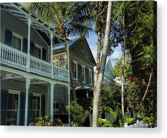 Key West Acrylic Print featuring the photograph Houses in the Palms by Dale Wilson