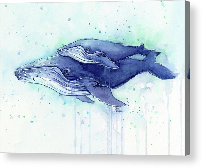 Whale Acrylic Print featuring the painting Humpback Whale Mom and Baby Watercolor by Olga Shvartsur
