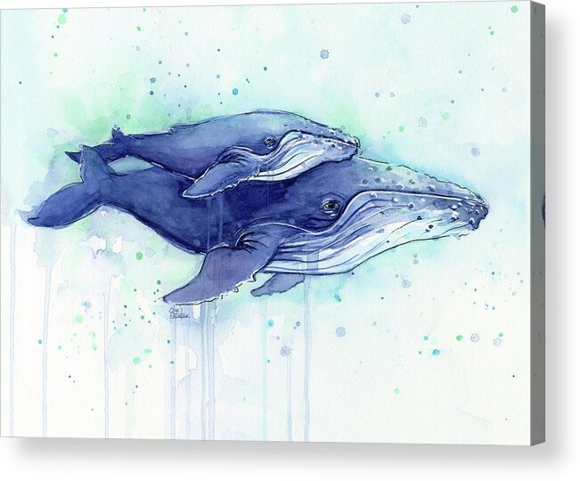 Whale Acrylic Print featuring the painting Humpback Whales Mom and Baby Watercolor Painting - Facing Right by Olga Shvartsur