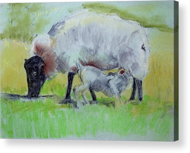  Acrylic Print featuring the painting Hungry Lamb by Kathleen Barnes
