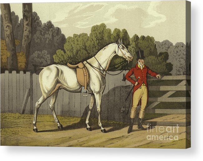 Fence Acrylic Print featuring the painting Hunter by Henry Thomas Alken