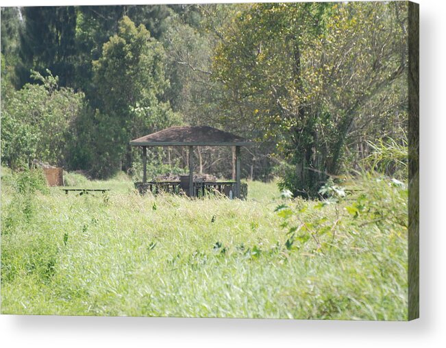 Grass Acrylic Print featuring the photograph Huppa In The Fields by Rob Hans