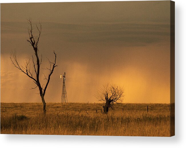 Prairie Acrylic Print featuring the photograph Hyde County by Don Durfee